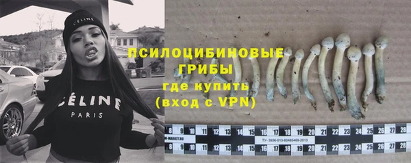 кокс Арсеньев
