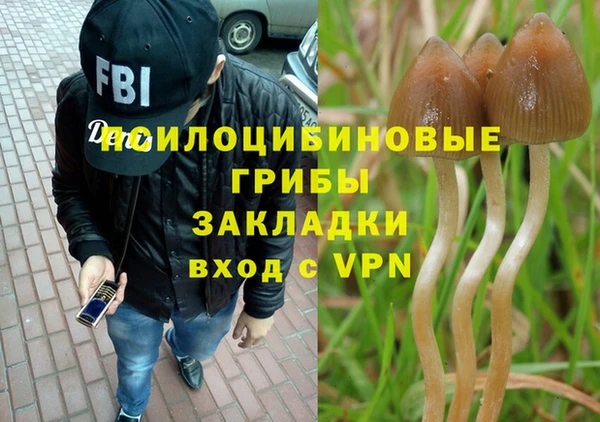 кокаин колумбия Алзамай